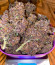 Purple Juice Auto fem (Herbies Seeds) семена конопли